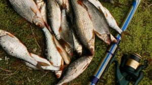 показывал снасти