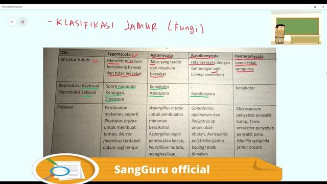 KINGDOM FUNGI смотреть онлайн