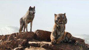 Почему Шерхан из Маугли НЕ ЗЛОДЕЙ?