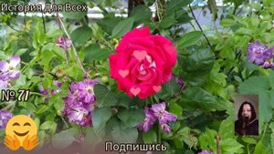Нагрянули родственники мужа. "Мы поживём у вас пару недель," - заявили они.