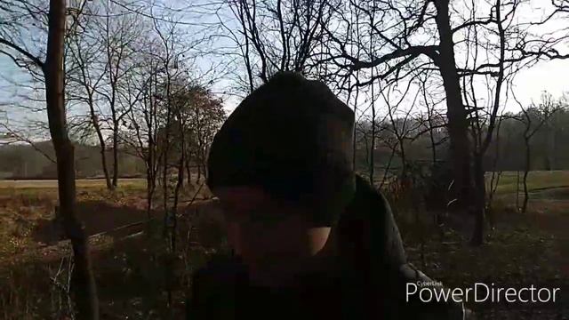 Конфликт Деньги Бросикурить Табакокурение Грибы Лес смотреть онлайн