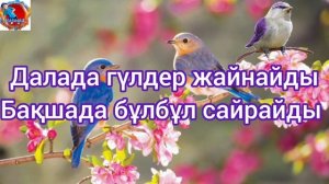 Көктем келді әні. Балаларға арналған Караоке толық сөздерімен бірге айтамыз.