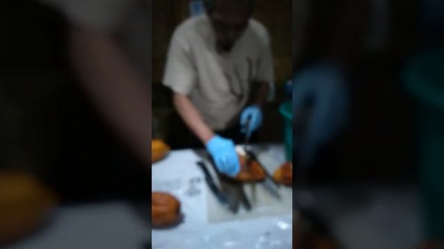 Disinfecting Cacao pods for bean extraction prior to inoculation with Aspergillus oryzae смотреть онлайн