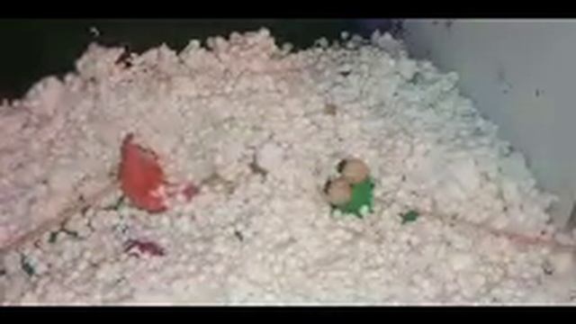 Мультфільми для дітей Лисичка сестричка і Жаба Клава в Містечко випав сніг смотреть онлайн