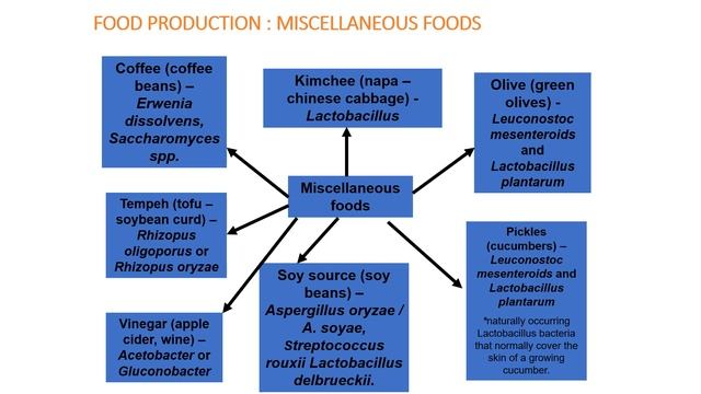 MICROBIAL BIOTECHNOLOGY
