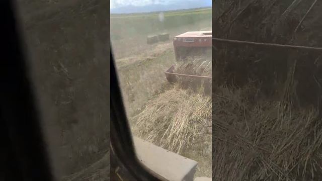 Т-40 и пресс сипма 24 июля 2020 г.пресуем экспарсет смотреть онлайн