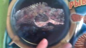 Морские монстры & ко Макси #2