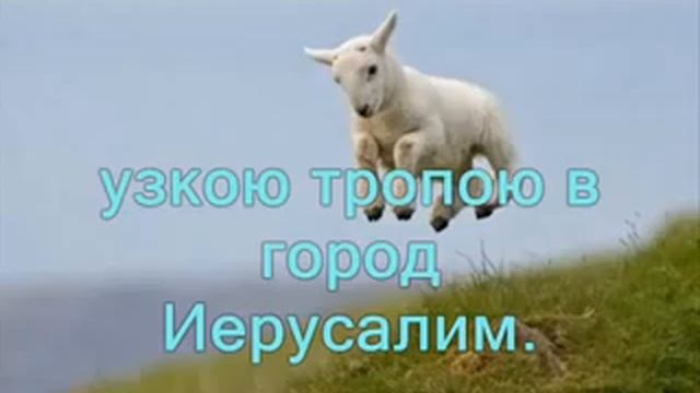 Я маленькая овечка смотреть онлайн
