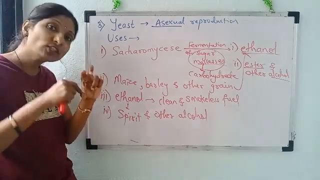 9th SSC _ microbes 3 смотреть онлайн