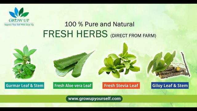 Introduce Our Product || Our Services || Growup || Cordy Amrit || Cordycep Militaris Mushroom смотреть онлайн