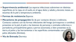 Microsporum gypseum-Microbiologia