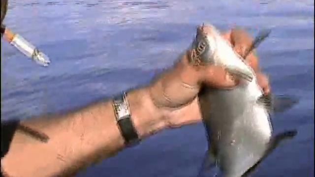 Я с батей на рыбалке...... смотреть онлайн