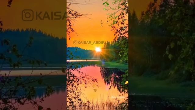 🌺БӘРІ ЖАҚСЫ🌺 авторы: Мехнат Теміртасқызы & оқыған: Қайсар Берікұлы #казакша_поэзия #поэзия