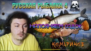 🎣Русская Рыбалка 4🦈 Наполняю Садок #1🐟 Комариное🔥