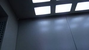 Лифт Ecomaks-(ЩЛЗ 2016 г.в.), V=1 м/с, Q=400 кг (983)