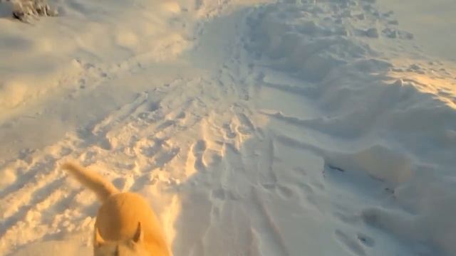 Зимняя радуга смотреть онлайн