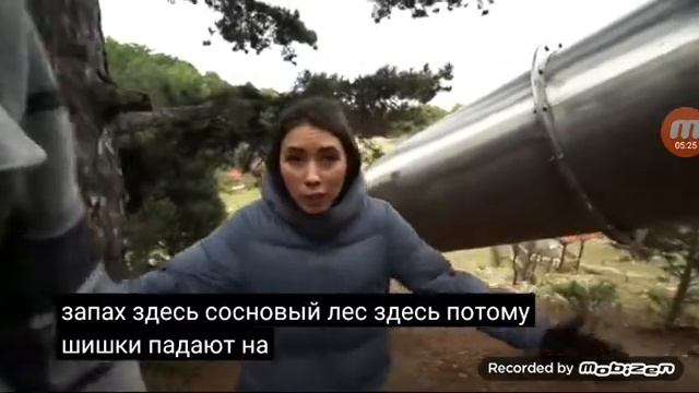 Горка пожератель смотреть на ютубе Алоя вера