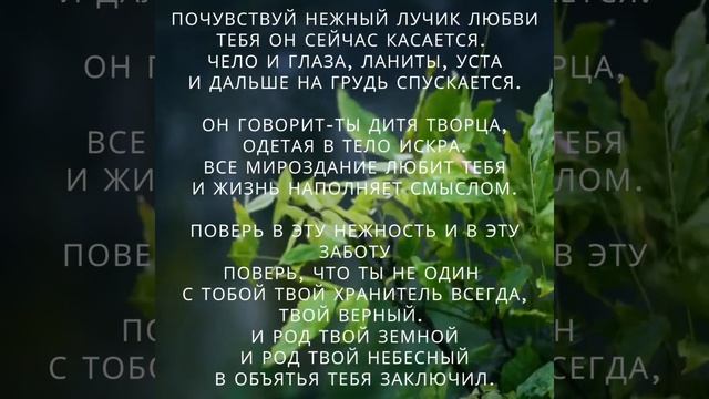 Лучик Любви #любовь #духовнаяпоэзия #поэзия #духовноецелительство #помошь смотреть онлайн