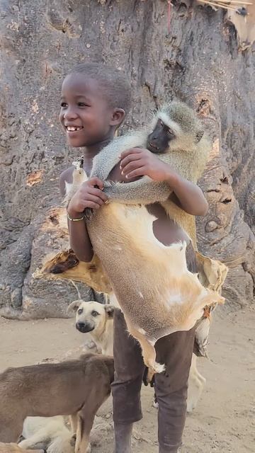 Hadza young boy is happy after hunters back home with monkey for lunch #hadzabetribe #wildlife смотреть онлайн