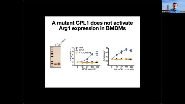 MycoTalks S2E8: Dan Kaplan and Hiten Madhani смотреть онлайн