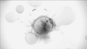 bonobo kong (music video) 2010