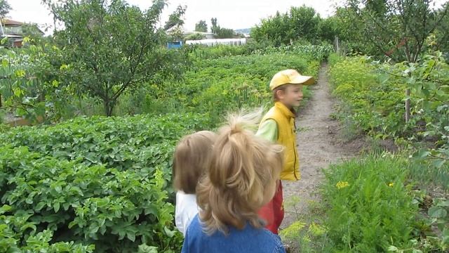 ЧуДиКи разукрашивают Грибы и проходят Квест смотреть онлайн