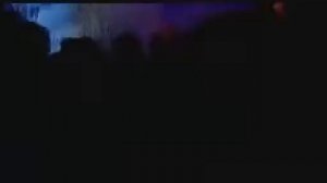 Дельфин   Надежда