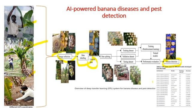 Application of AI technology in Agriculture as a example Banana AI app (Tumaini)  By Dr.S.Elayabala