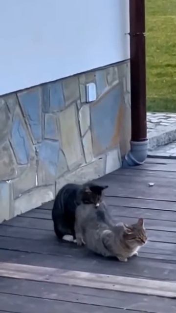 Когда на романтическом свидании, что-то пошло не так! ахахаха! смотреть онлайн