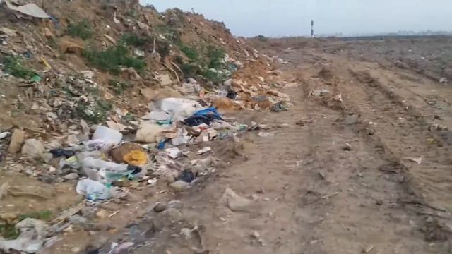 Полигон ТБО "Кучино" 2 августа 20:20 смотреть онлайн