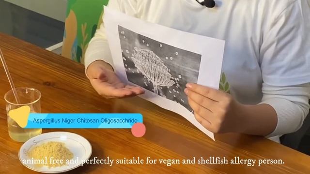 Plant based Natural Ingredients-Aspergillus niger Chitosan Oligosacchride -CHIBIO