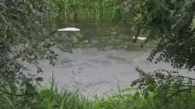 Облака смотреть онлайн