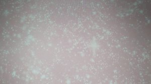 Биология 9 класс Понамарева $ 31 Современные представления о возникновении жизни на земле