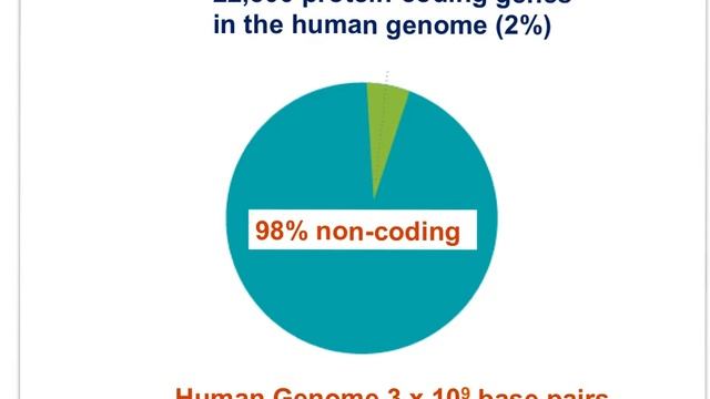 IB Bio - Genetics Part I