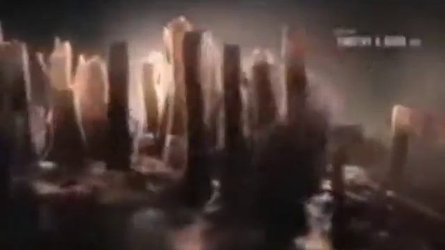 el origen del Cordyceps según HBO