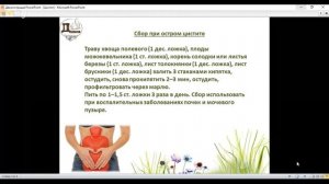 Народные средства и травы при цистите