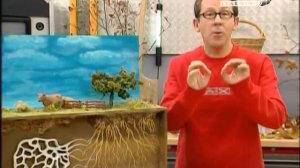 Занимательно обо всем. Трюфель - в поисках черного бриллианта.