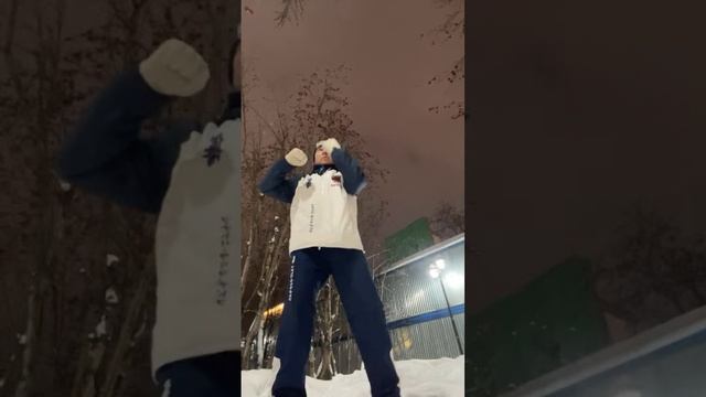 Ицюань (1271 день) Ченбао Чжуан / Няо Нань Фей / Цюаньфа - удары кулаком / Сантин (2.02.25)