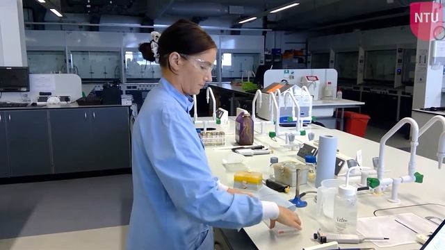 Biofilm Assay in a 96 Well Plate Tutorial смотреть онлайн