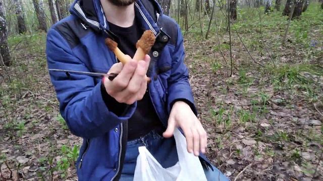 первые сморчки 2020 смотреть онлайн