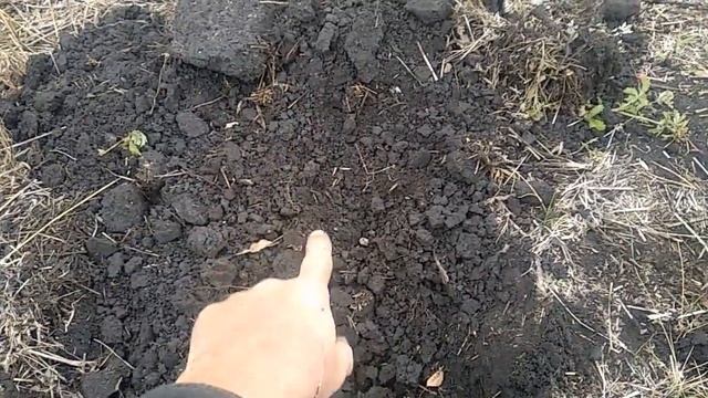 Незапланированный коп. Пока кто то ищет грибы, я копаю железо!)