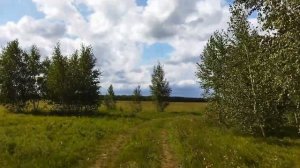 Поездка в лес за грибами на скутере