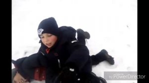 Петушиные бои !!!!!