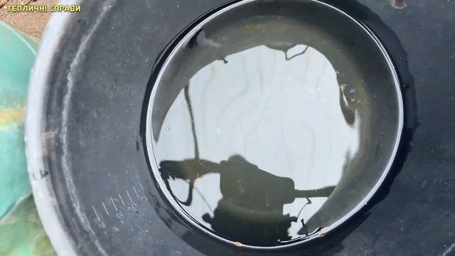 Чорна ніжка у розсади не з'явиться ! ПРОФІЛАКТИКА
