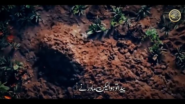 Heart Touching Kalam |Taqdeer Nahi Yawar | Hafiz Hassan Anzar | Peace Studio | Nasheed Club
