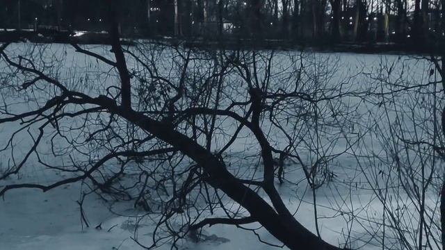 VID 20230120 172134 Песенка Мими Пенсон (Альфред де Мюссе)...Павел Васильев Лахтинский