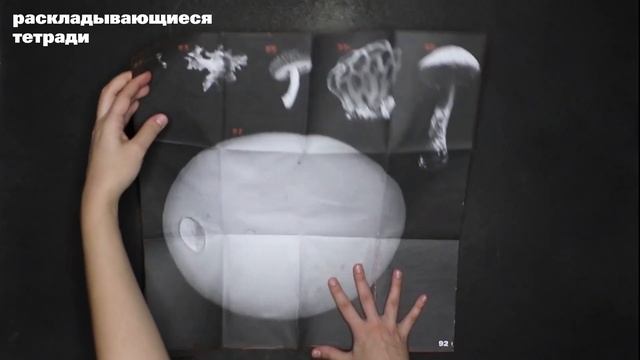 Ирина Дербоян. «Грибная Тьма». 2023 смотреть онлайн