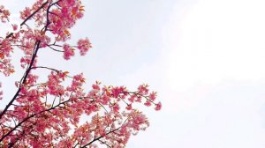 Угадай песню по отрывку(сборник моих песен)