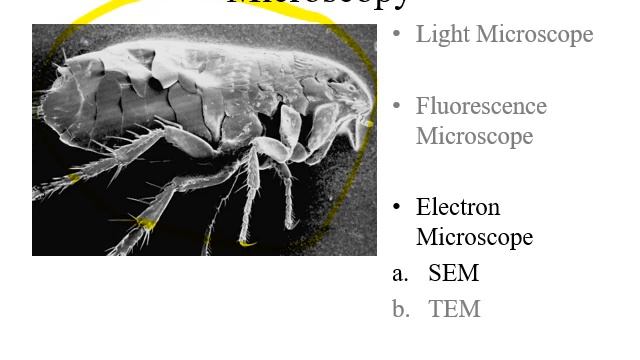 Unit 1 Introduction Part 3 of 3