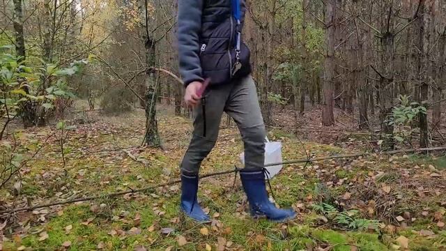 Еще один поход в лес по грибы